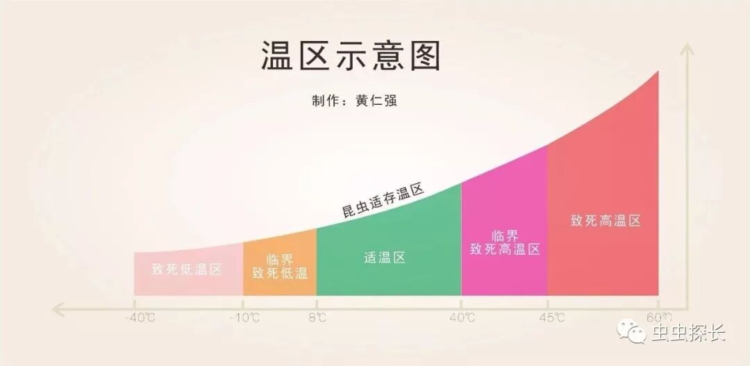 配图4